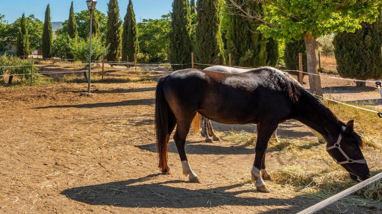 Cortijo Carrillo Antequera By Ruralidays别墅 外观 照片